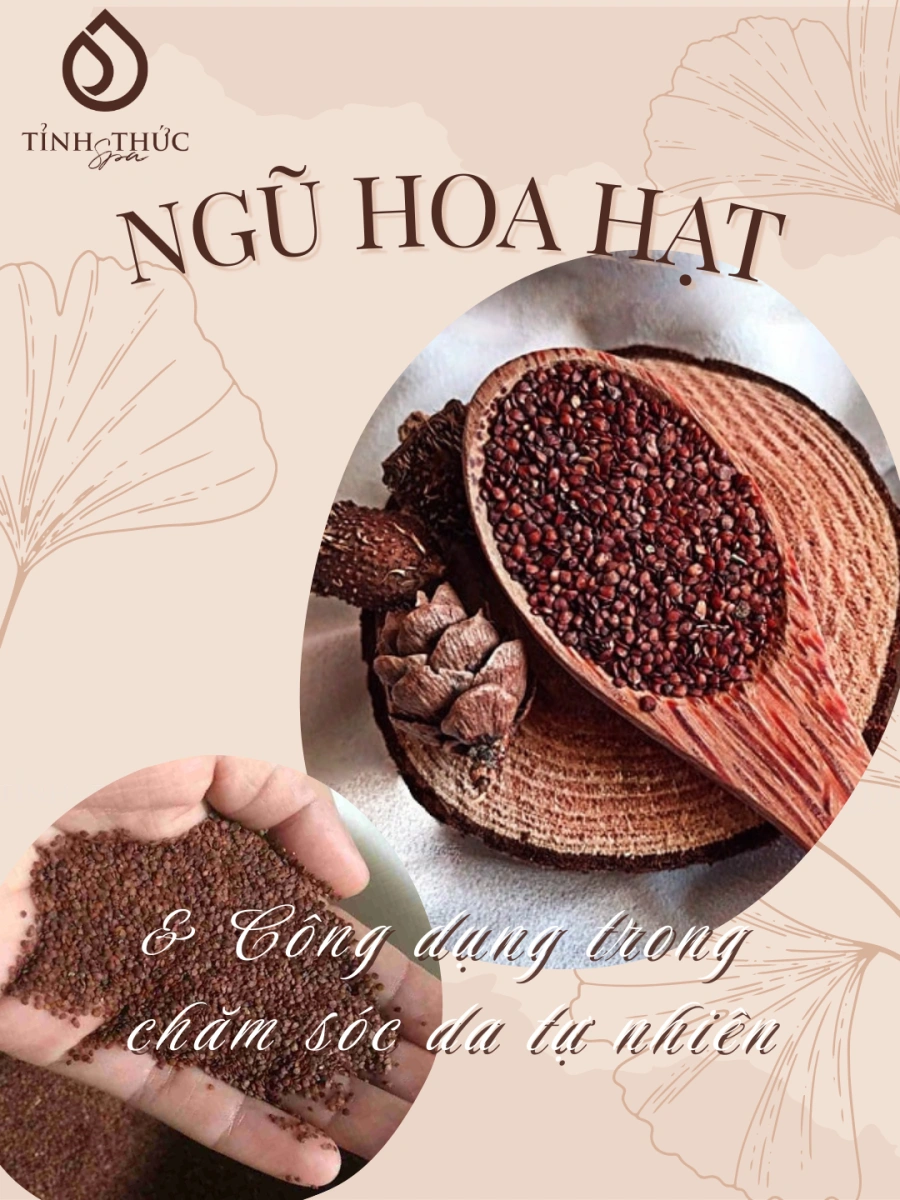ngu hoa hat