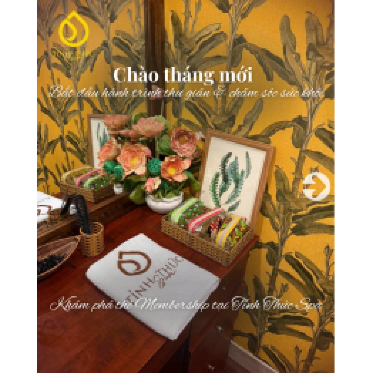 Chào Tháng Mới – Bắt Đầu Hành Trình Thư Giãn & Chăm Sóc Sức Khỏe Cùng Tỉnh Thức Spa