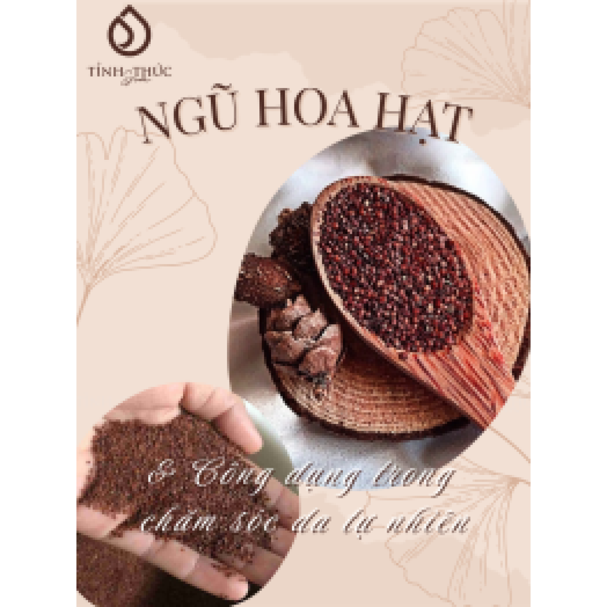 NGŨ HOA HẠT LÀ GÌ? CÔNG DỤNG CỦA NGŨ HOA HẠT TRONG CHĂM SÓC DA TỰ NHIÊN