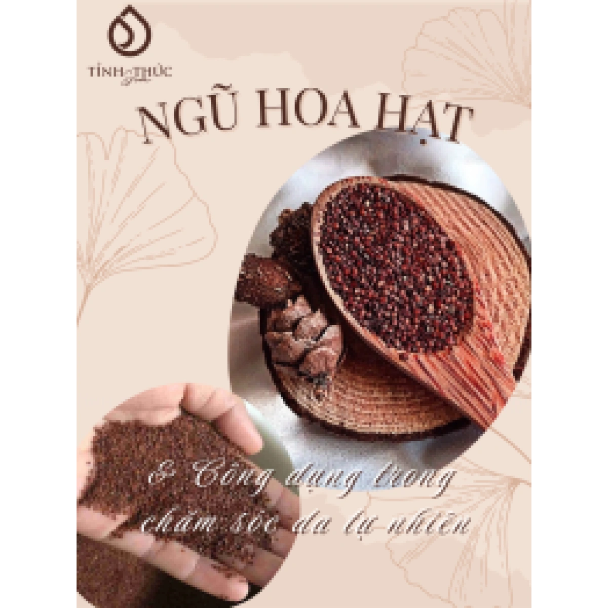 NGŨ HOA HẠT LÀ GÌ? CÔNG DỤNG CỦA NGŨ HOA HẠT TRONG CHĂM SÓC DA TỰ NHIÊN