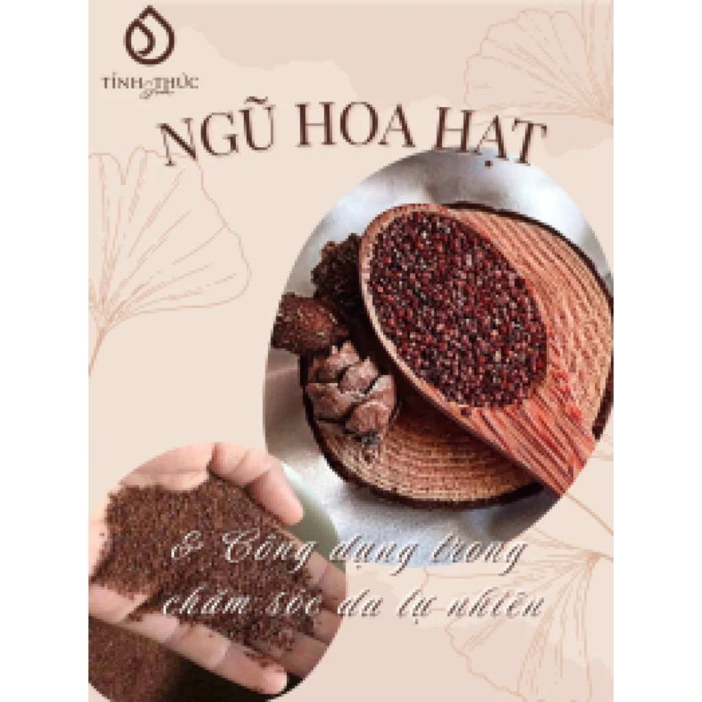 NGŨ HOA HẠT LÀ GÌ? CÔNG DỤNG CỦA NGŨ HOA HẠT TRONG CHĂM SÓC DA TỰ NHIÊN